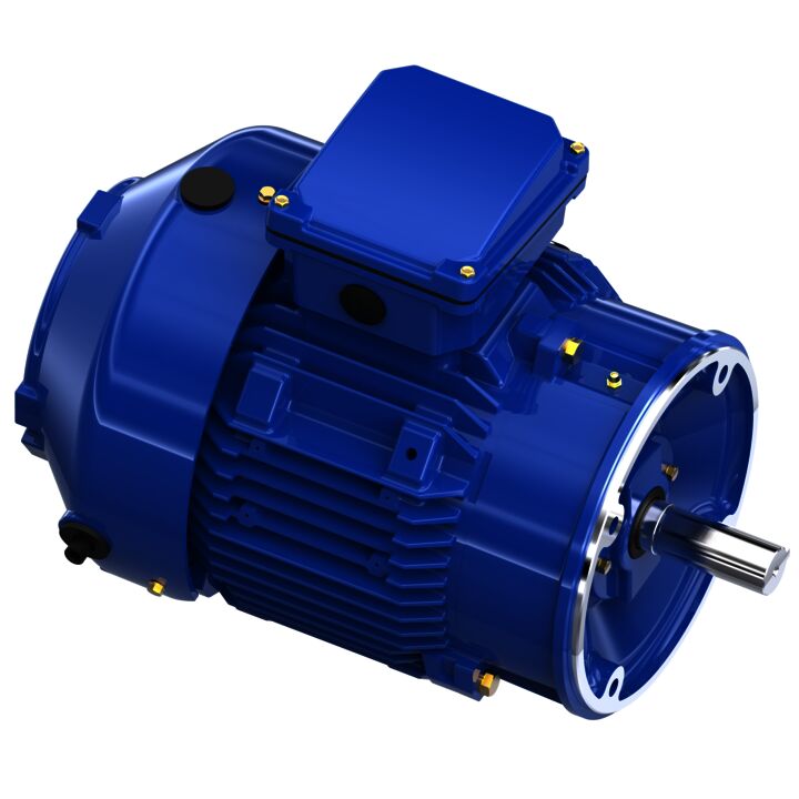 Severe Duty Motor, 5 HP, 3 Ph, 60 Hz, 460 V, 1800 RPM, 184TCV Frame, TEFC