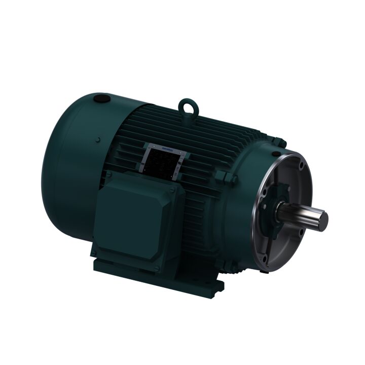 General Purpose Motor, 50 HP, 3 Ph, 60 Hz, 575 V, 1800 RPM, 326TC Frame, TEFC