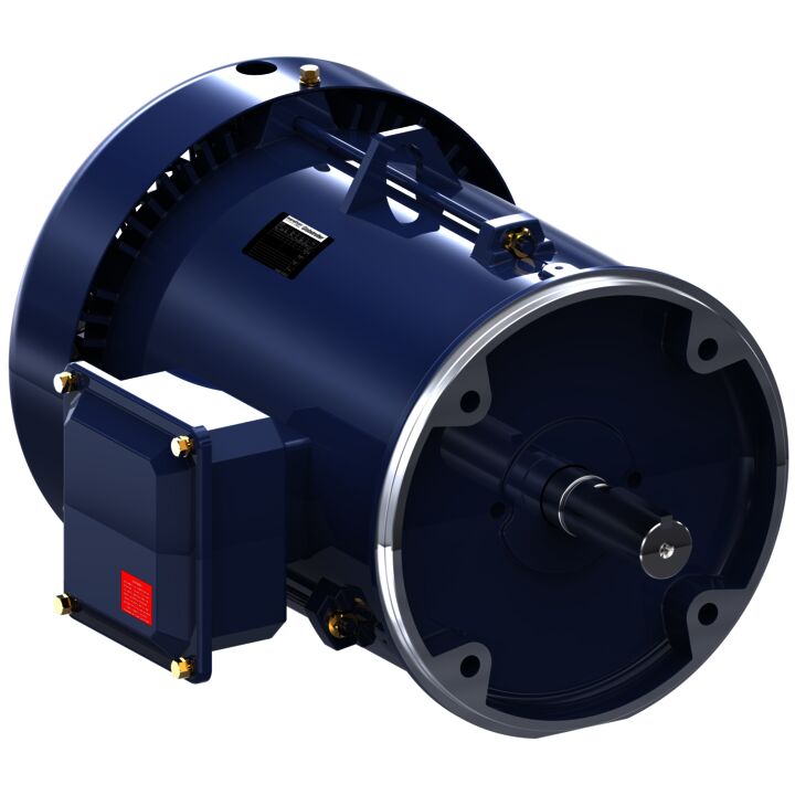 Special Voltage Motor, 5 HP, 3 Ph, 50 Hz, 220/380/440 V, 1500 RPM, 184TC Frame, TEFC