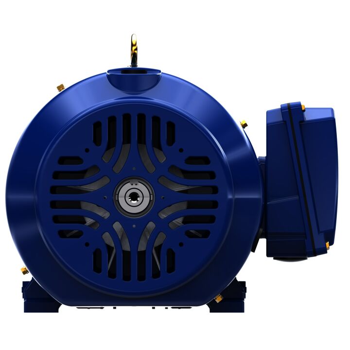 Severe Duty Motor, 10 HP, 3 Ph, 60 Hz, 230/460 V, 3600 RPM, 215T Frame, TEFC