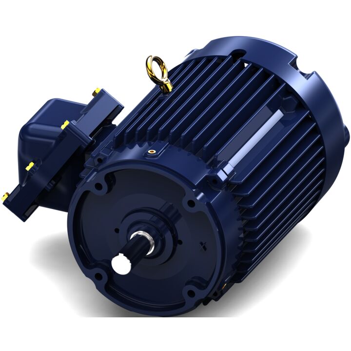 Explosion Proof Motor, 3 & 2 HP, 3 Ph, 60 & 50 Hz, 230/460 & 190/380 V, 1800 & 1500 RPM, 182TC Frame, EPFC