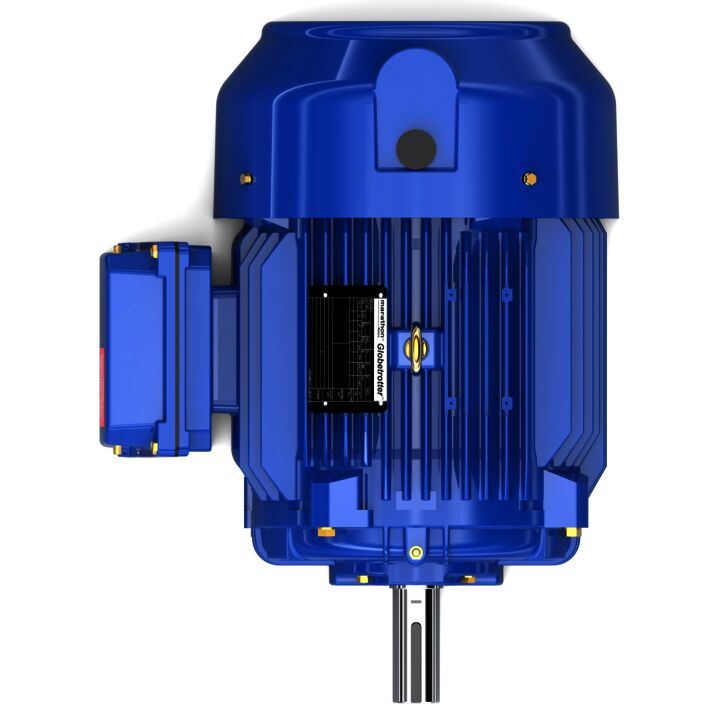 Multispeed Motor, 5 & 1.25 HP, 3 Ph, 60 & 60 Hz, 460 & 460 V, 1800 & 1800 RPM, 213T Frame, TEFC