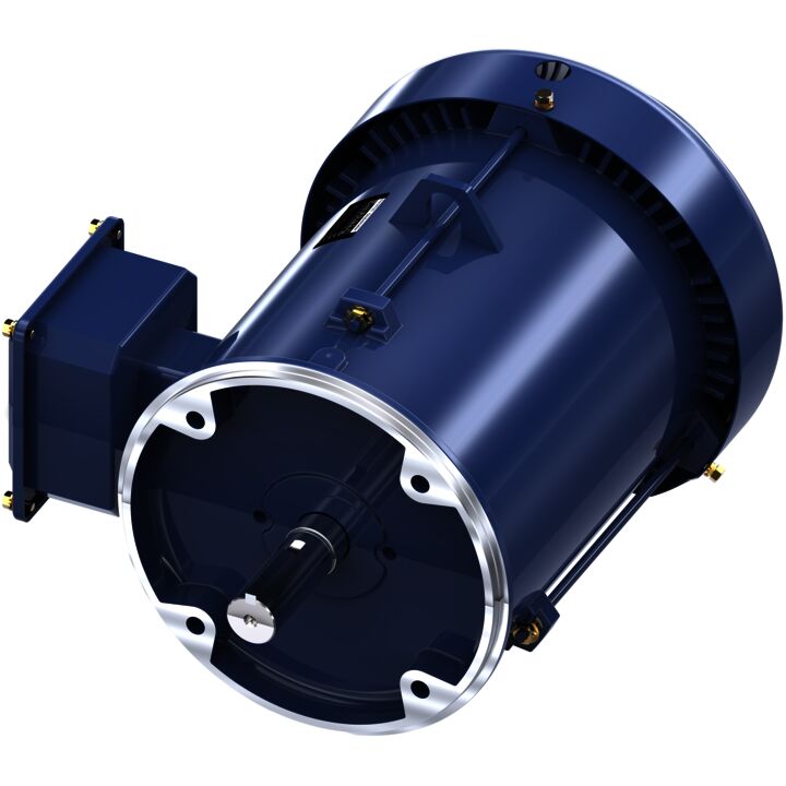 Special Voltage Motor, 5 HP, 3 Ph, 50 Hz, 220/380/440 V, 1500 RPM, 184TC Frame, TEFC