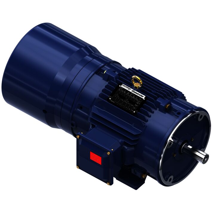 Encoder Motor, 5 HP, 3 Ph, 60 Hz, 230/460 V, 1800 RPM, 184TC Frame, TENV