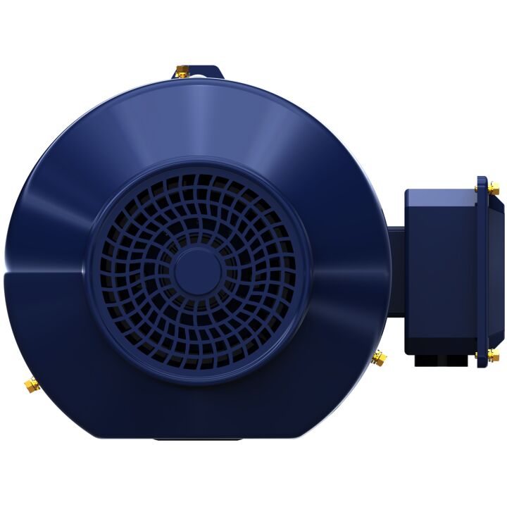 Special Voltage Motor, 5 HP, 3 Ph, 50 Hz, 220/380/440 V, 1500 RPM, 184TC Frame, TEFC