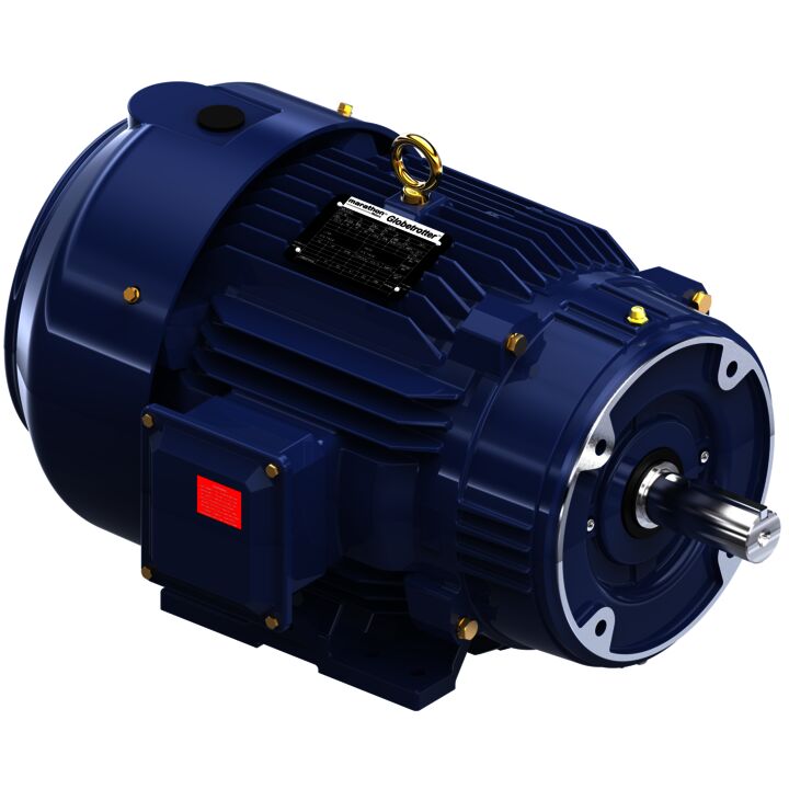 Encoder Motor, 10 HP, 3 Ph, 60 Hz, 230/460 V, 1800 RPM, 215TC Frame, TEFC