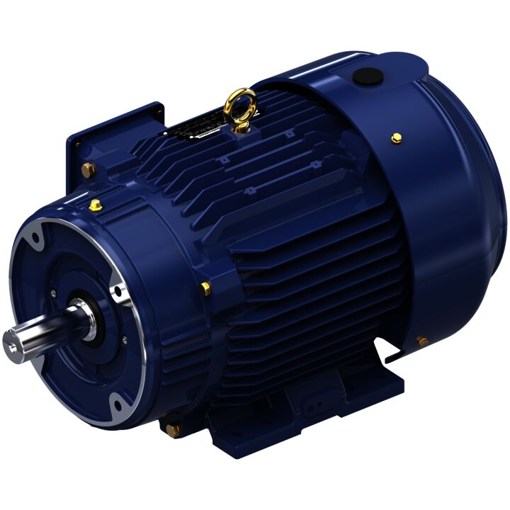 Encoder Motor, 7.50 HP, 3 Ph, 60 Hz, 230/460 V, 1800 RPM, 213TC Frame, TEFC