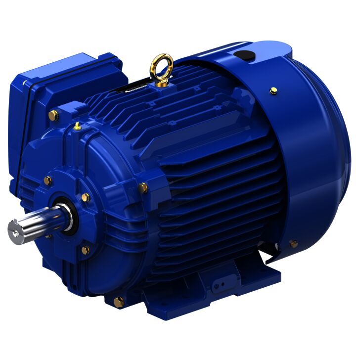 Severe Duty Motor, 5 HP, 3 Ph, 60 Hz, 460 V, 1200 RPM, 215T Frame, TEFC