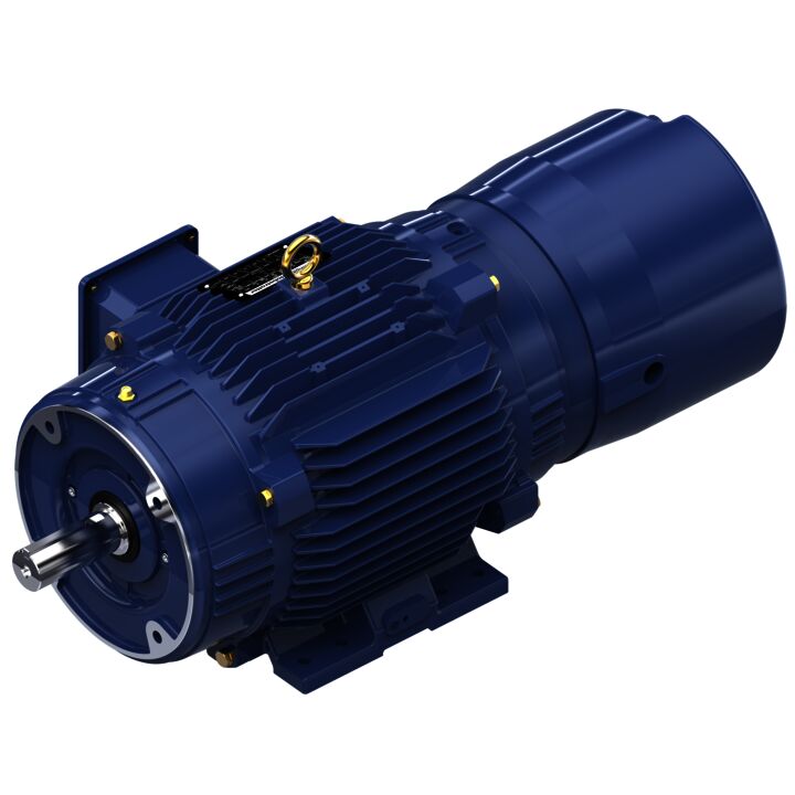 Encoder Motor, 7.50 HP, 3 Ph, 60 Hz, 230/460 V, 1800 RPM, 213TC Frame, TENV