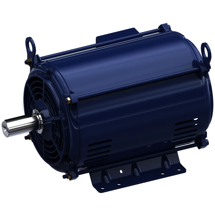 Special Voltage Motor, 7.50 HP, 3 Ph, 50 Hz, 200/400 V, 1500 RPM, 213T Frame, DP