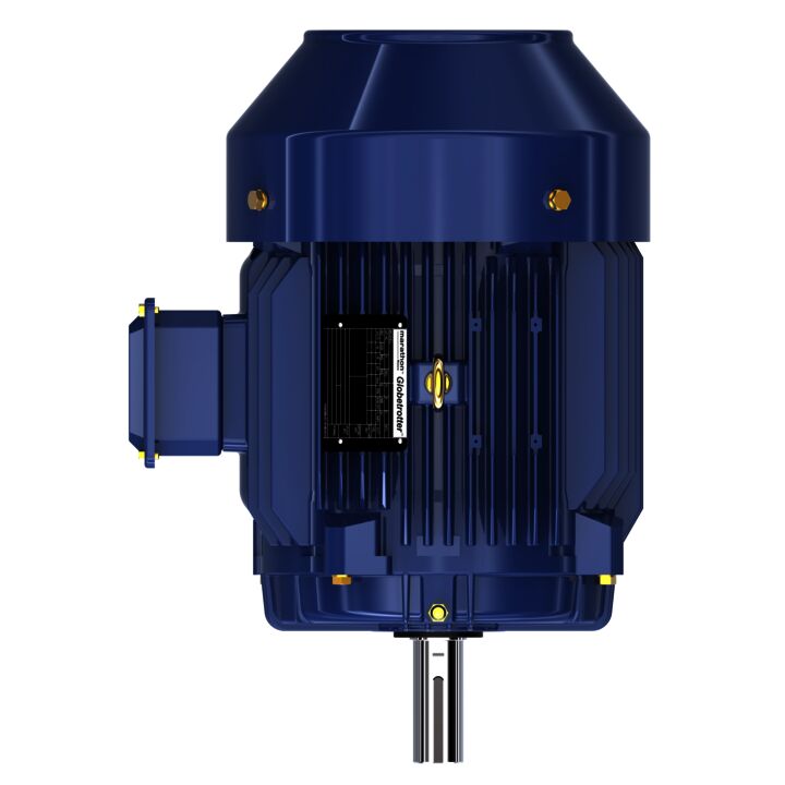 General Purpose Motor, 3 & 2 HP, 3 Ph, 60 & 50 Hz, 230/460 & 190/380 V, 900 & 750 RPM, 215T Frame, TEFC