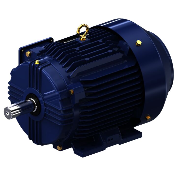 General Purpose Motor, 10 HP, 3 Ph, 60 Hz, 575 V, 3600 RPM, 215T Frame, TEFC