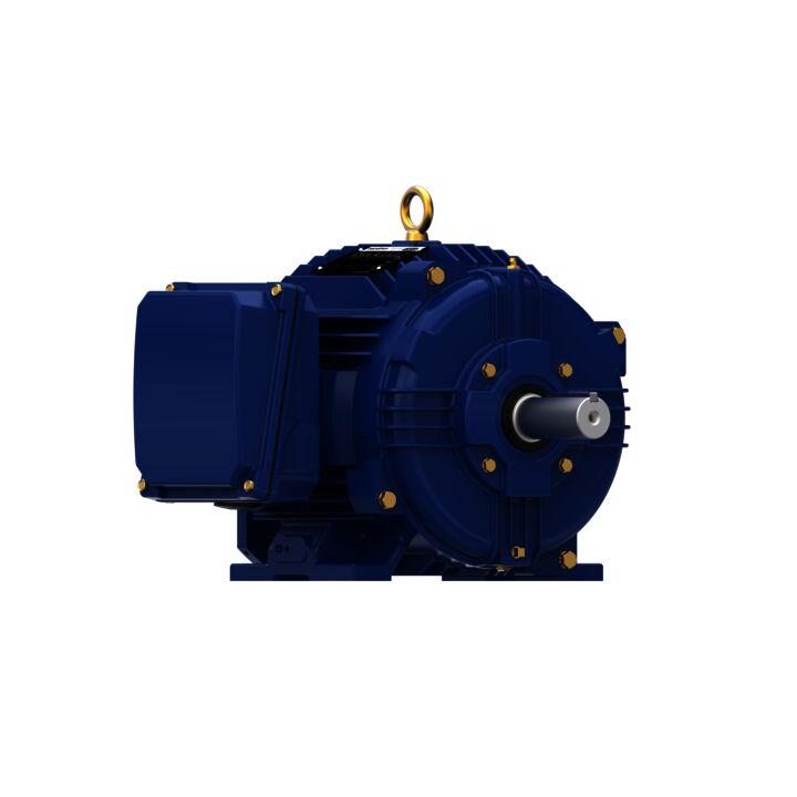 Severe Duty Motor, 7.50 HP, 3 Ph, 60 Hz, 460 V, 3600 RPM, 213T Frame, TENV