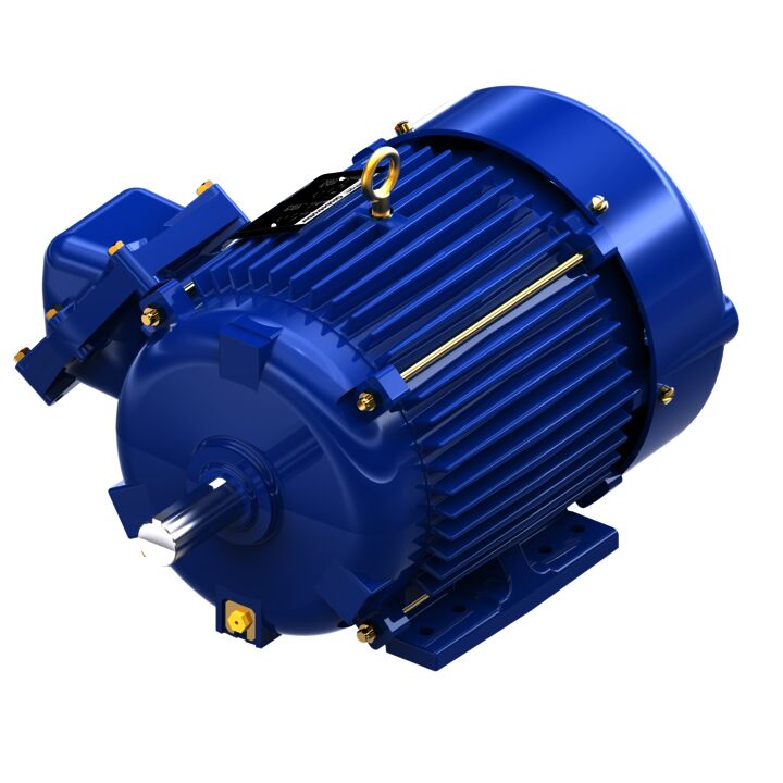 Other Purpose Motor, 7.50 & 5 HP, 3 Ph, 60 & 50 Hz, 208-230/460 & 190/380 V, 1800 & 1500 RPM, 213T Frame, EPFC