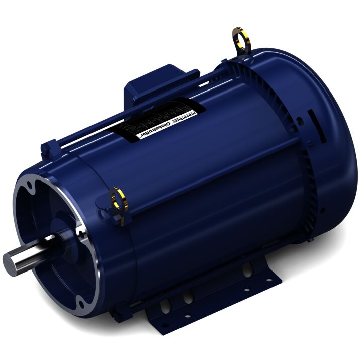 General Purpose Motor, 5 & 3 HP, 3 Ph, 60 & 50 Hz, 230/460 & 190/380 V, 1200 & 1000 RPM, 215TC Frame, TEFC