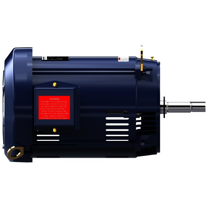 Close-Coupled Pump Motor, 15 & 10 HP, 3 Ph, 60 & 50 Hz, 230/460 & 190/380 V, 3600 & 3000 RPM, 215JMV Frame, DP