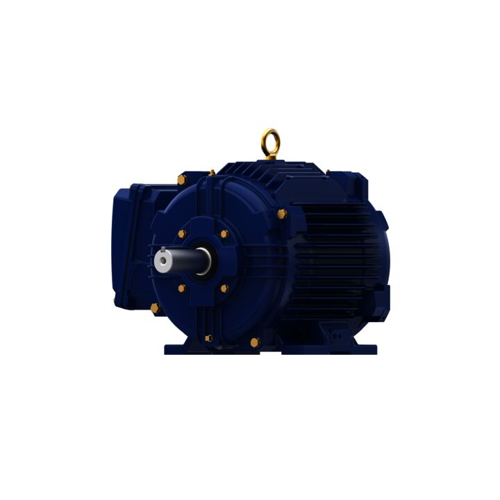 Severe Duty Motor, 7.50 HP, 3 Ph, 60 Hz, 460 V, 3600 RPM, 213T Frame, TENV