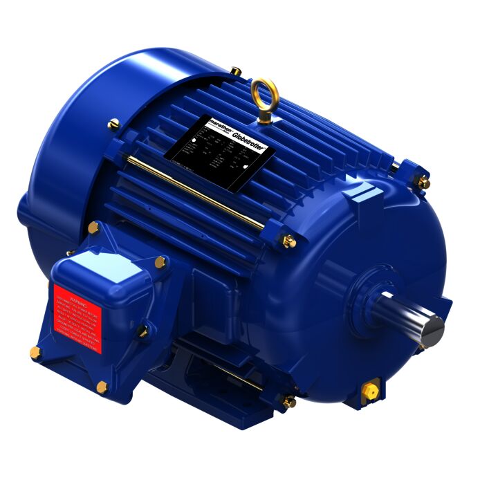 Other Purpose Motor, 7.50 & 5 HP, 3 Ph, 60 & 50 Hz, 208-230/460 & 190/380 V, 1800 & 1500 RPM, 213T Frame, EPFC