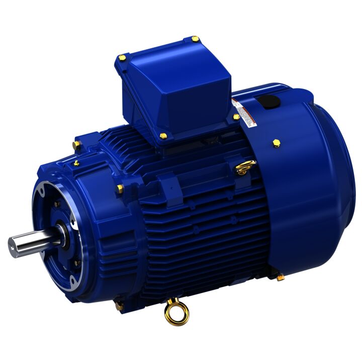 Severe Duty Motor, 10 HP, 3 Ph, 60 Hz, 460 V, 1800 RPM, 215TCV Frame, TEFC