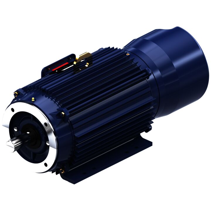 Brake Motor, 7.50 & 5 HP, 3 Ph, 60 & 50 Hz, 230/460 & 190/380 V, 1800 & 1500 RPM, 213TC Frame, TENV