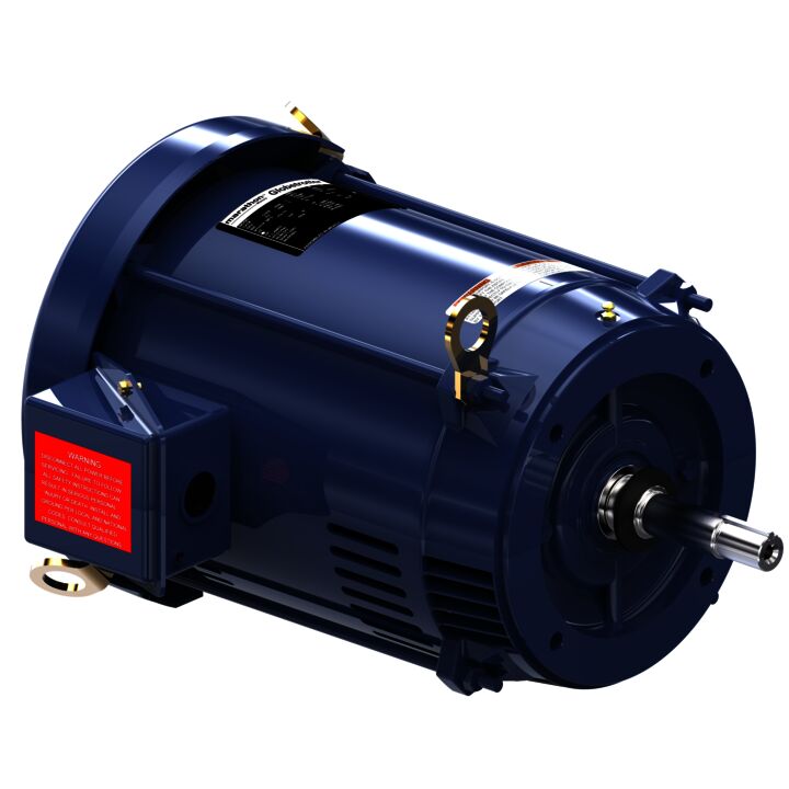 Close-Coupled Pump Motor, 15 & 10 HP, 3 Ph, 60 & 50 Hz, 230/460 & 190/380 V, 3600 & 3000 RPM, 215JMV Frame, DP