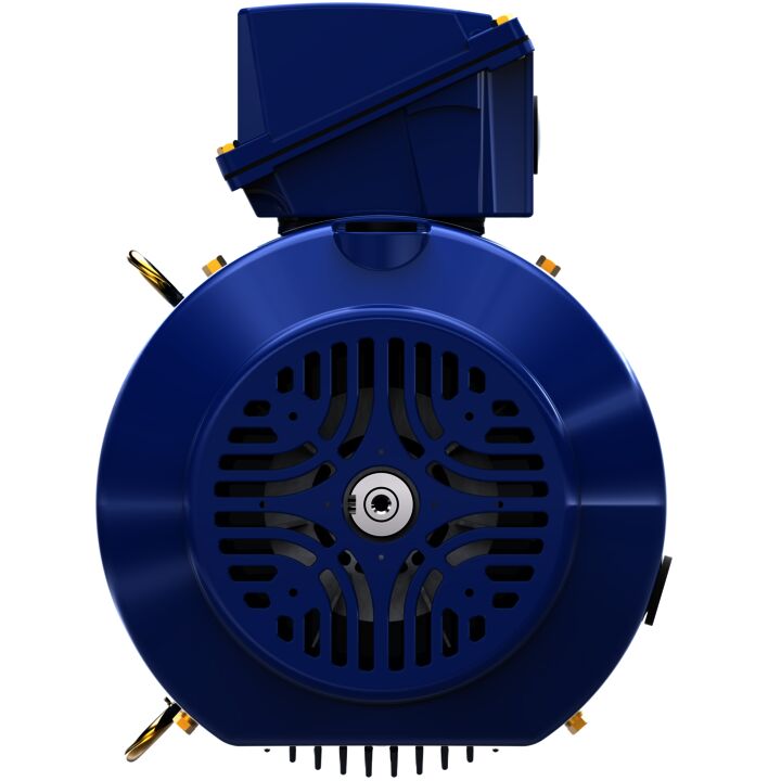 Severe Duty Motor, 10 HP, 3 Ph, 60 Hz, 460 V, 1800 RPM, 215TCV Frame, TEFC