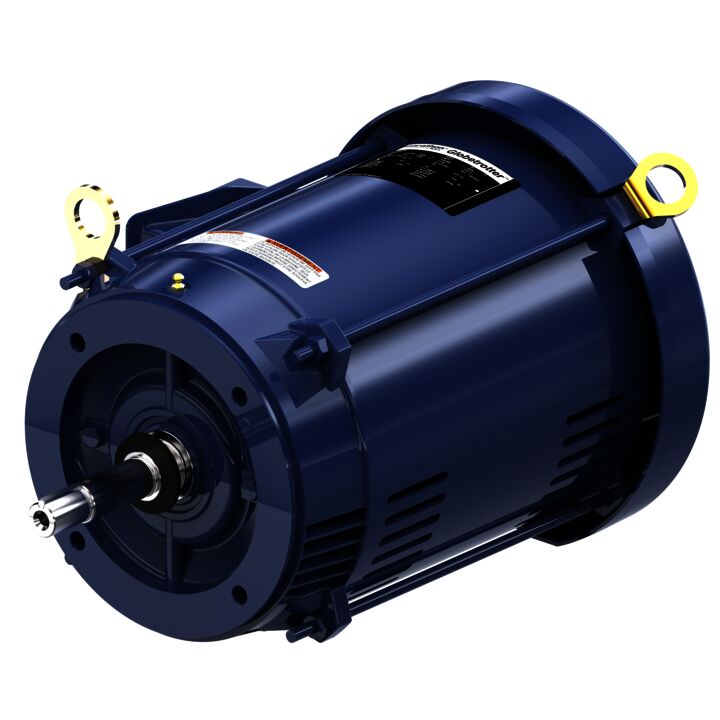 Close-Coupled Pump Motor, 15 & 10 HP, 3 Ph, 60 & 50 Hz, 230/460 & 190/380 V, 3600 & 3000 RPM, 215JMV Frame, DP