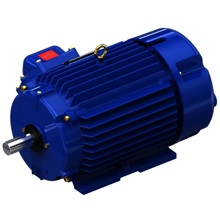 Explosion Proof Motor, 10 & 7.50 HP, 3 Ph, 60 & 50 Hz, 230/460 & 190/380 V, 1800 & 1500 RPM, 215T Frame, EPFC