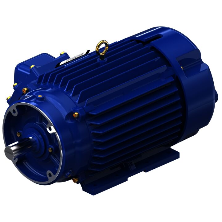 Explosion Proof Motor, 10 & 7.50 HP, 3 Ph, 60 & 50 Hz, 230/460 & 190/380 V, 3600 & 3000 RPM, 215TC Frame, EPFC