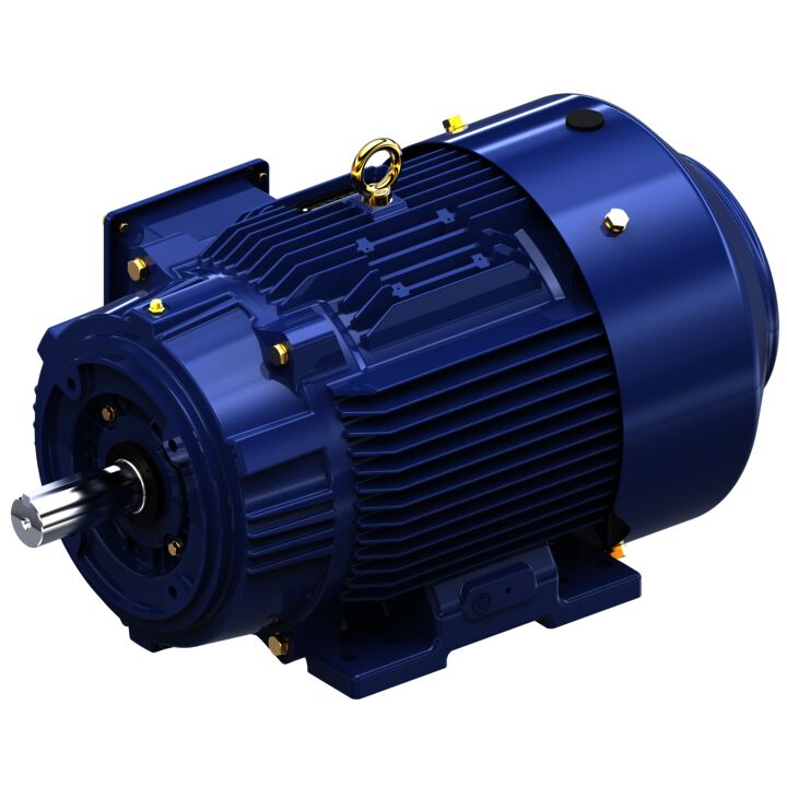 General Purpose Motor, 7.50 & 5 HP, 3 Ph, 60 & 50 Hz, 230/460 & 190/380 V, 1200 & 1000 RPM, 254TC Frame, TEFC