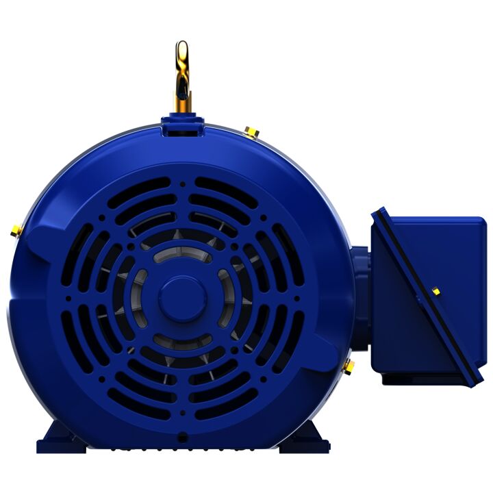 Oil Well Pump Motor, 10 & 2.50 HP, 3 Ph, 60 & 60 Hz, 460 & 460 V, 1800 & 1800 RPM, 254T Frame, TEFC