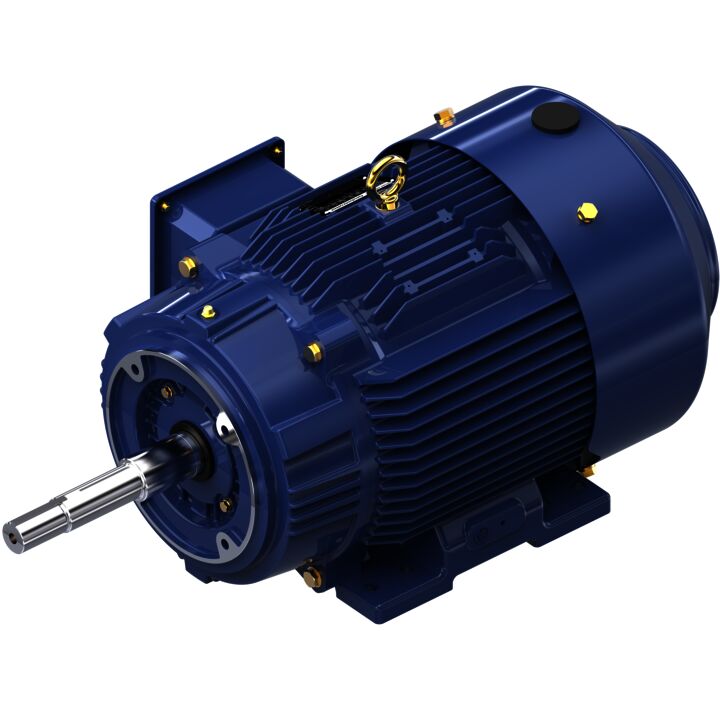 Close-Coupled Pump Motor, 7.50 & 5 HP, 3 Ph, 60 & 50 Hz, 230/460 & 190/380 V, 1200 & 1000 RPM, 254JP Frame, TEFC