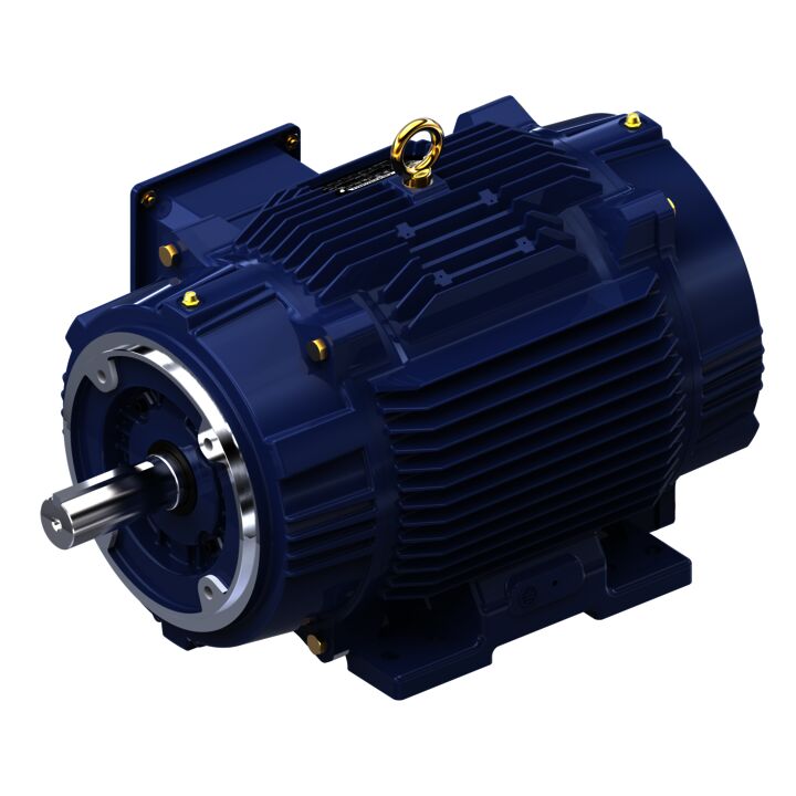 Encoder Motor, 20 HP, 3 Ph, 60 Hz, 230/460 V, 1800 RPM, 256TC Frame, TENV