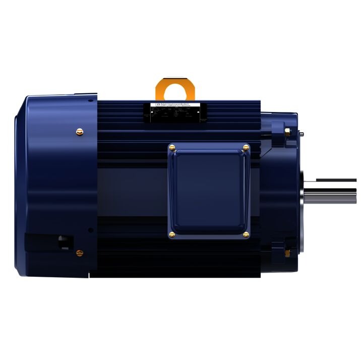 General Purpose Motor, 15 & 10 HP, 3 Ph, 60 & 50 Hz, 230/460 & 190/380 V, 1800 & 1500 RPM, 254TC Frame, TEFC