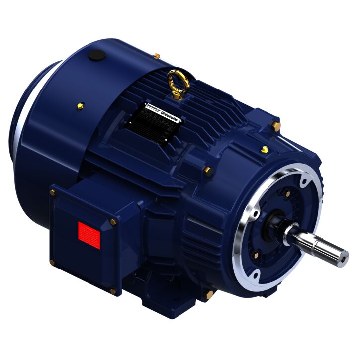 Close-Coupled Pump Motor, 20 & 15 HP, 3 Ph, 60 & 50 Hz, 230/460 & 190/380 V, 1800 & 1500 RPM, 256JM Frame, TEFC