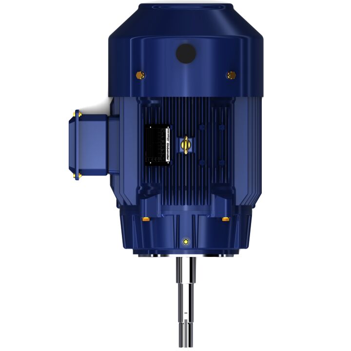 Close-Coupled Pump Motor, 7.50 & 5 HP, 3 Ph, 60 & 50 Hz, 230/460 & 190/380 V, 1200 & 1000 RPM, 254JP Frame, TEFC