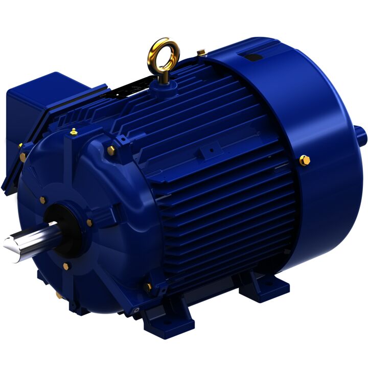 Oil Well Pump Motor, 10 & 2.50 HP, 3 Ph, 60 & 60 Hz, 460 & 460 V, 1800 & 1800 RPM, 254T Frame, TEFC