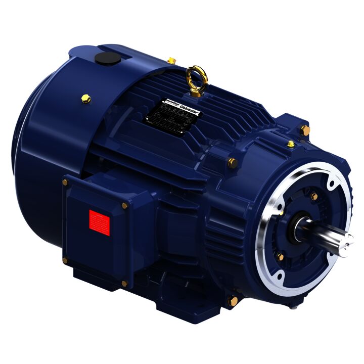 Encoder Motor, 20 HP, 3 Ph, 60 Hz, 230/460 V, 1800 RPM, 256TC Frame, TEFC