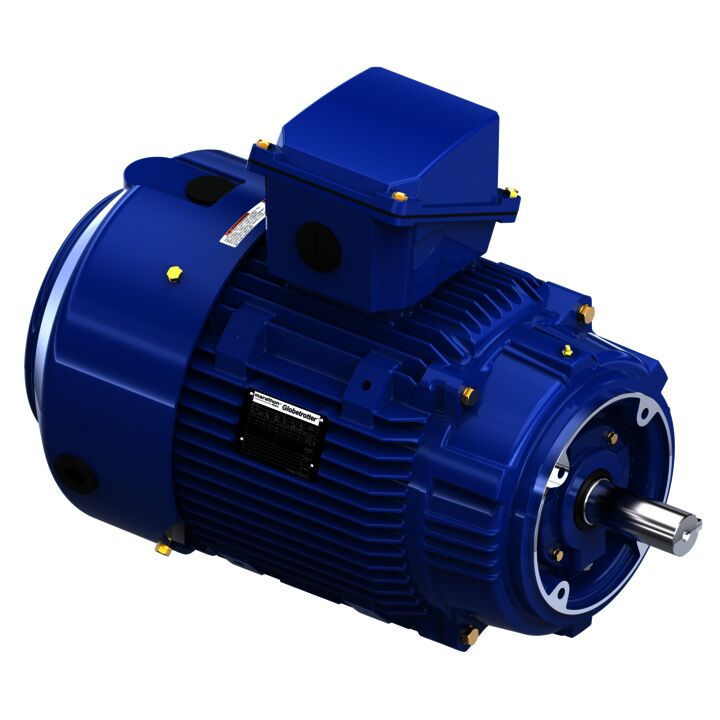 Severe Duty Motor, 20 HP, 3 Ph, 60 Hz, 460 V, 1800 RPM, 256TCV Frame, TEFC