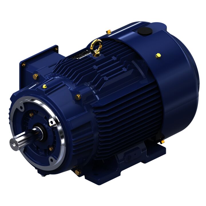 Encoder Motor, 20 HP, 3 Ph, 60 Hz, 230/460 V, 1800 RPM, 256TC Frame, TEFC