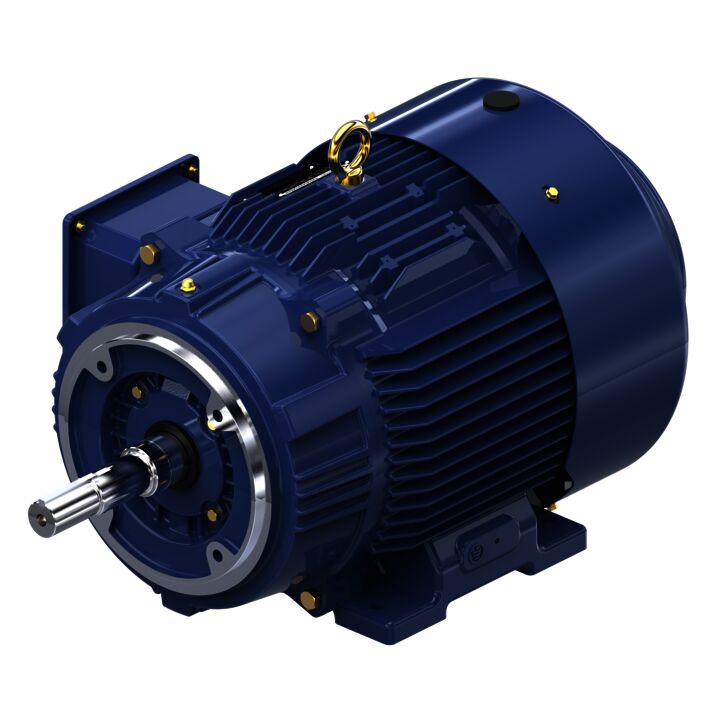 Close-Coupled Pump Motor, 20 & 15 HP, 3 Ph, 60 & 50 Hz, 230/460 & 190/380 V, 1800 & 1500 RPM, 256JM Frame, TEFC