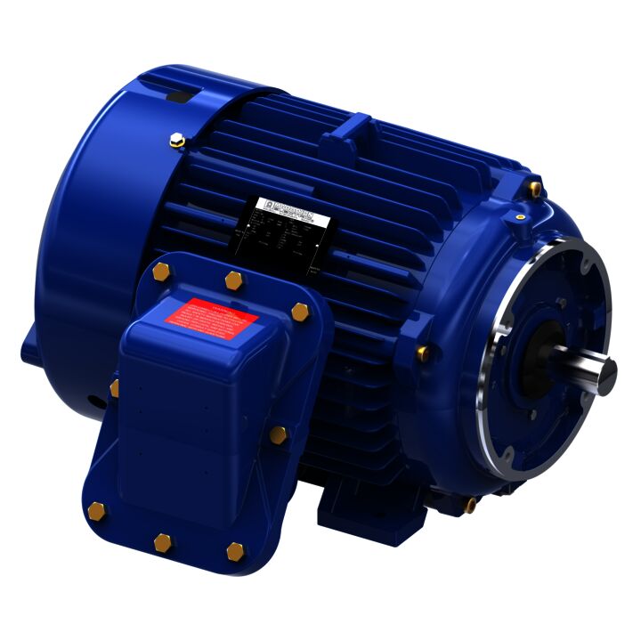 Explosion Proof Motor, 25 & 20 HP, 3 Ph, 60 & 50 Hz, 230/460 & 190/380 V, 3600 & 3000 RPM, 284TSC Frame, EPFC