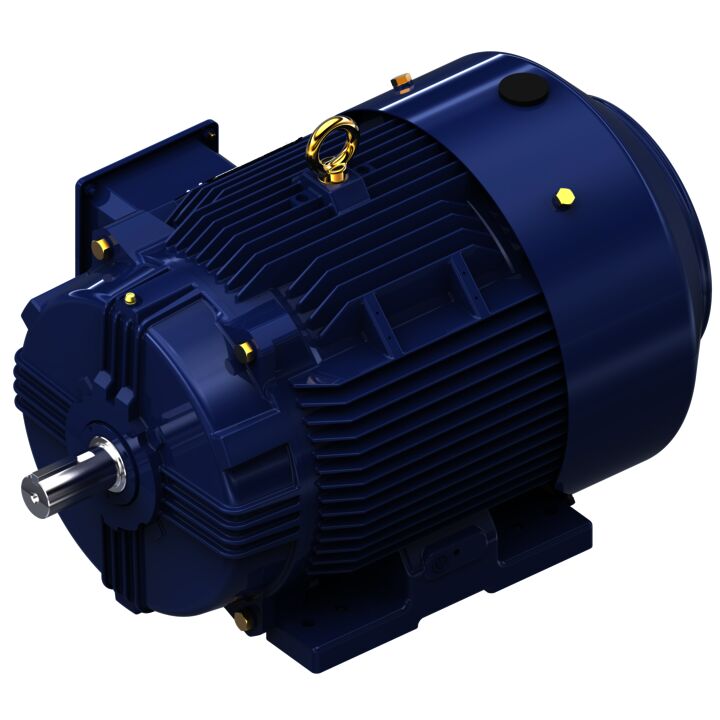 General Purpose Motor, 30 & 25 HP, 3 Ph, 60 & 50 Hz, 230/460 & 190/380 V, 3600 & 3000 RPM, 286TS Frame, TEFC