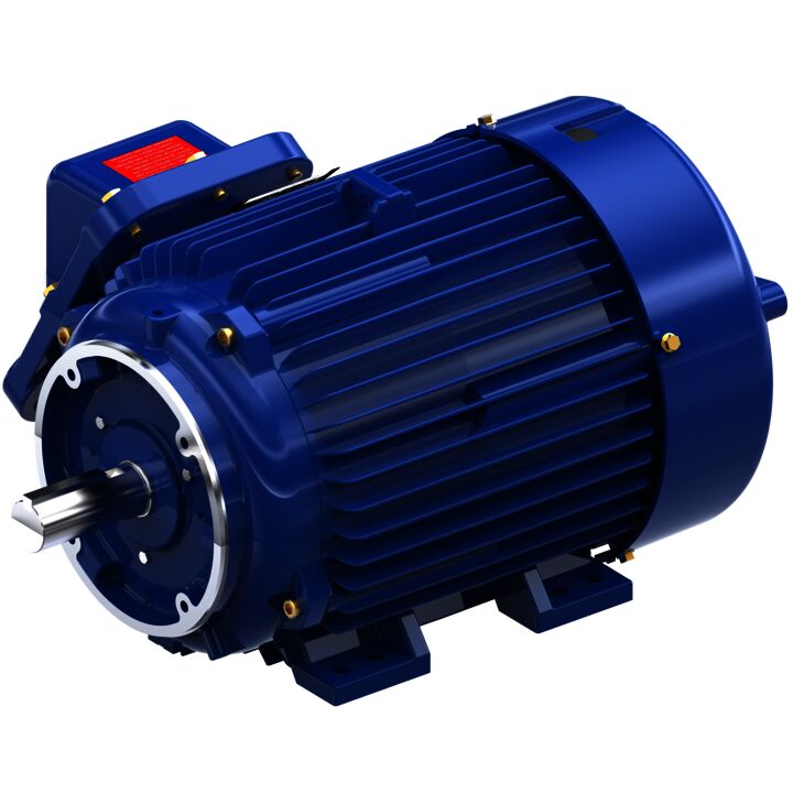 Explosion Proof Motor, 30 & 25 HP, 3 Ph, 60 & 50 Hz, 230/460 & 190/380 V, 1800 & 1500 RPM, 286TC Frame, EPFC