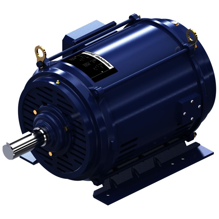 General Purpose Motor, 15 & 10 HP, 3 Ph, 60 & 50 Hz, 230/460 & 190/380 V, 1200 & 1000 RPM, 284T Frame, DP