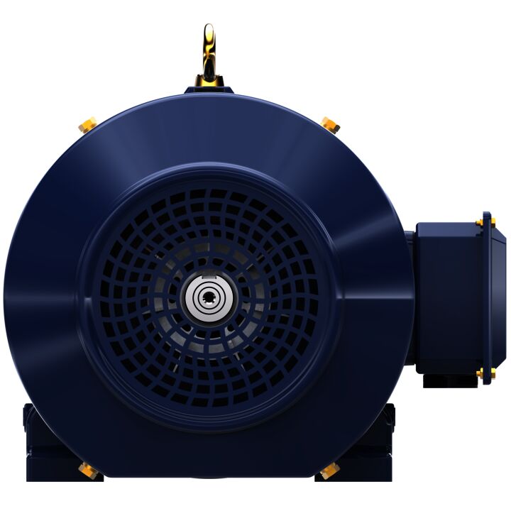 Close-Coupled Pump Motor, 15 & 10 HP, 3 Ph, 60 & 50 Hz, 230/460 & 190/380 V, 1200 & 1000 RPM, 284JM Frame, TEFC