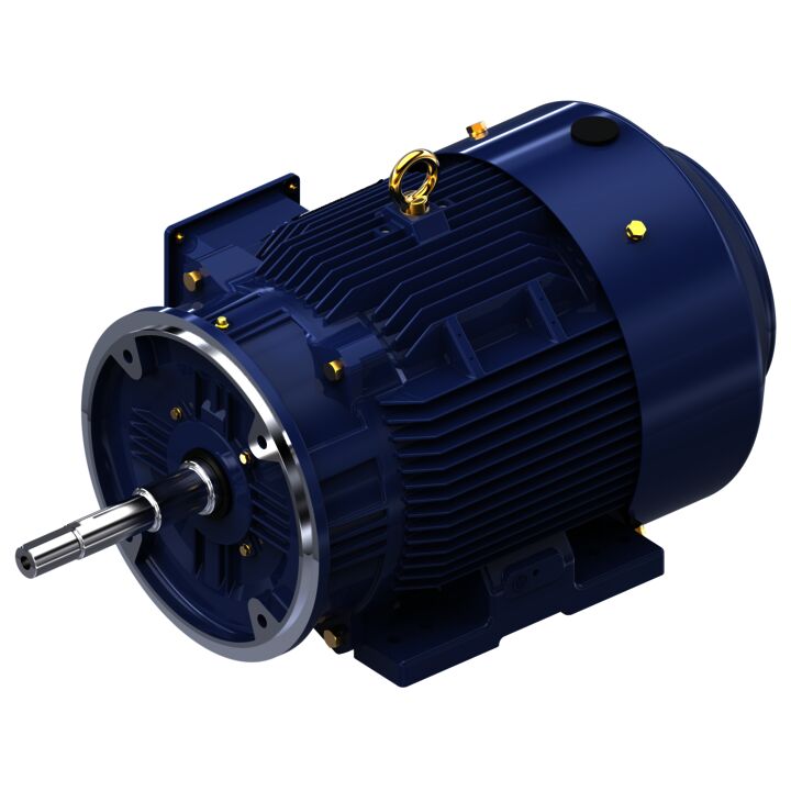 Close-Coupled Pump Motor, 25 & 20 HP, 3 Ph, 60 & 50 Hz, 230/460 & 190/380 V, 3600 & 3000 RPM, 284JP Frame, TEFC