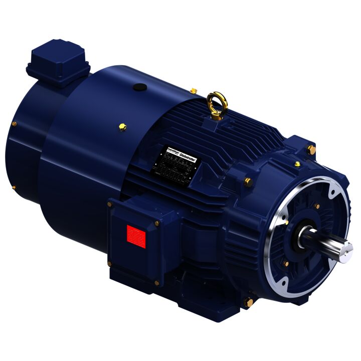 Encoder Motor, 25 HP, 3 Ph, 60 Hz, 230/460 V, 1800 RPM, 284TC Frame, TEBC-AXIAL