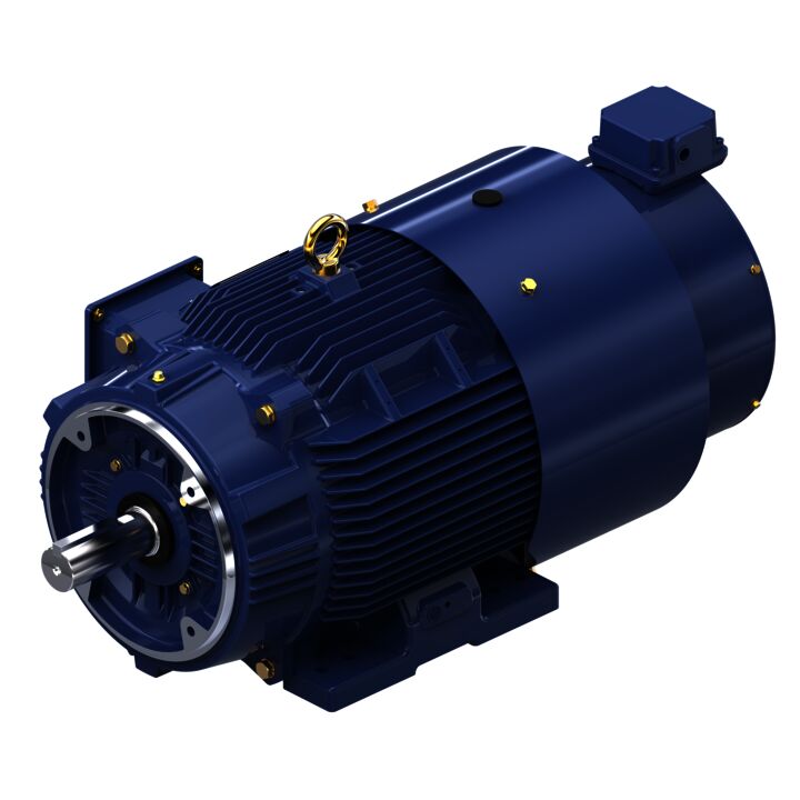 Encoder Motor, 25 HP, 3 Ph, 60 Hz, 230/460 V, 1800 RPM, 284TC Frame, TEBC-AXIAL