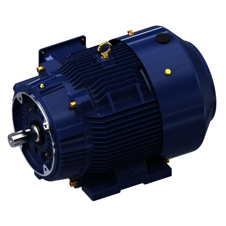 General Purpose Motor, 30 & 25 HP, 3 Ph, 60 & 50 Hz, 230/460 & 190/380 V, 3600 & 3000 RPM, 286TSC Frame, TEFC